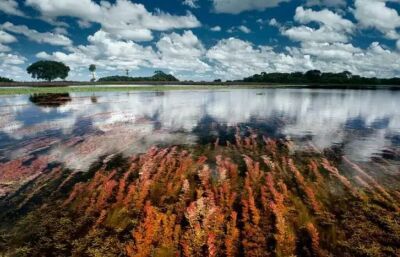 Imagem da notícia Parque Estadual Alagados do Taquari receberá R$ 120 milhões para aquisição de terras no Pantanal